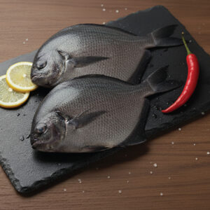 black pomfret | கருவாவல்