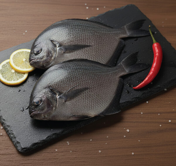 black pomfret | கருவாவல்