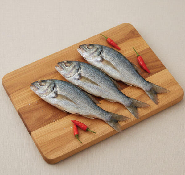 emperor fish | விளை மீன்