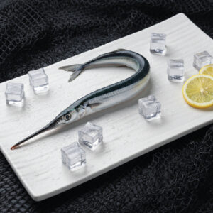 needle fish | கலிங்க முரல்