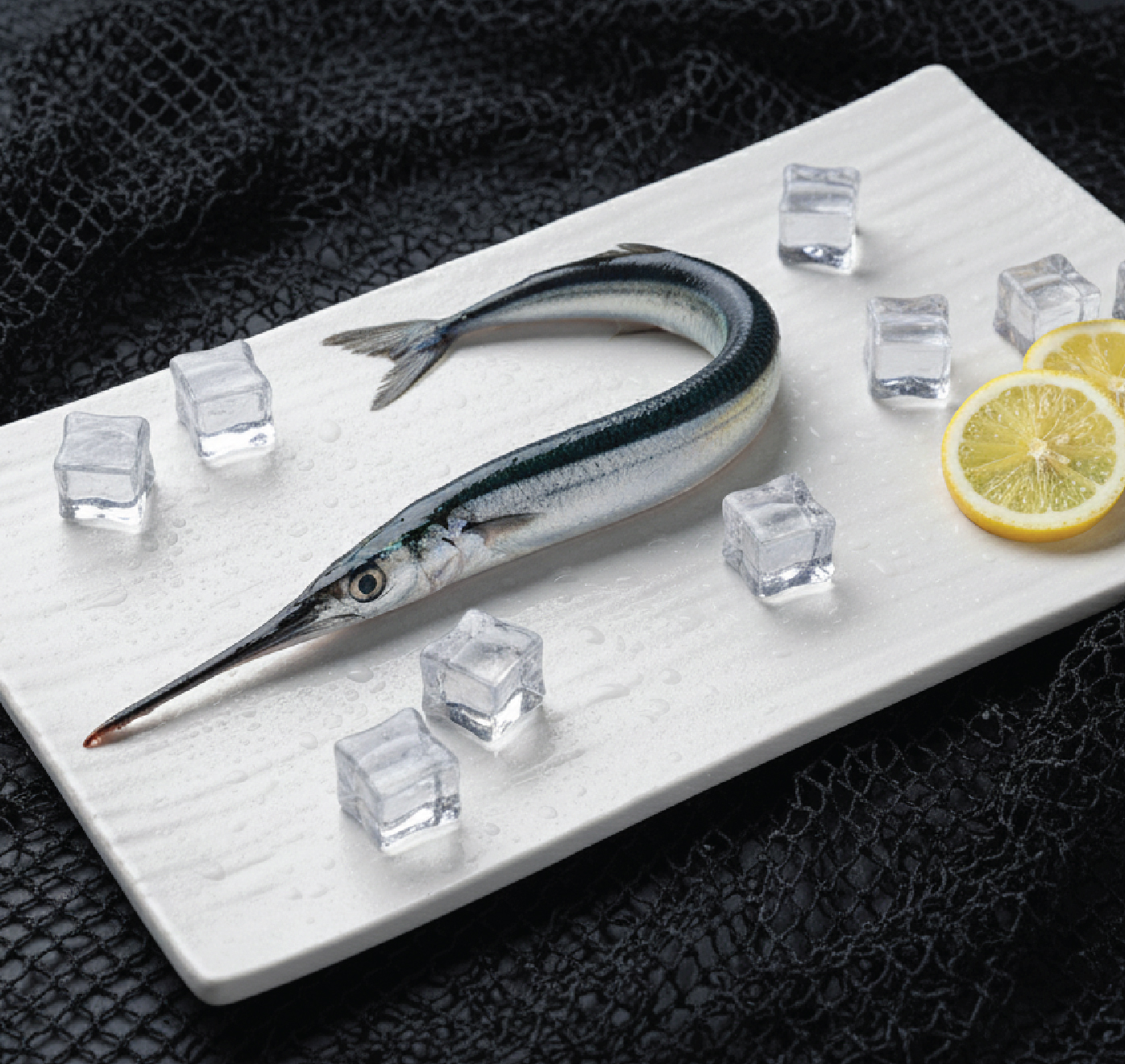 needle fish | கலிங்க முரல் needle fish | கலிங்க முரல்