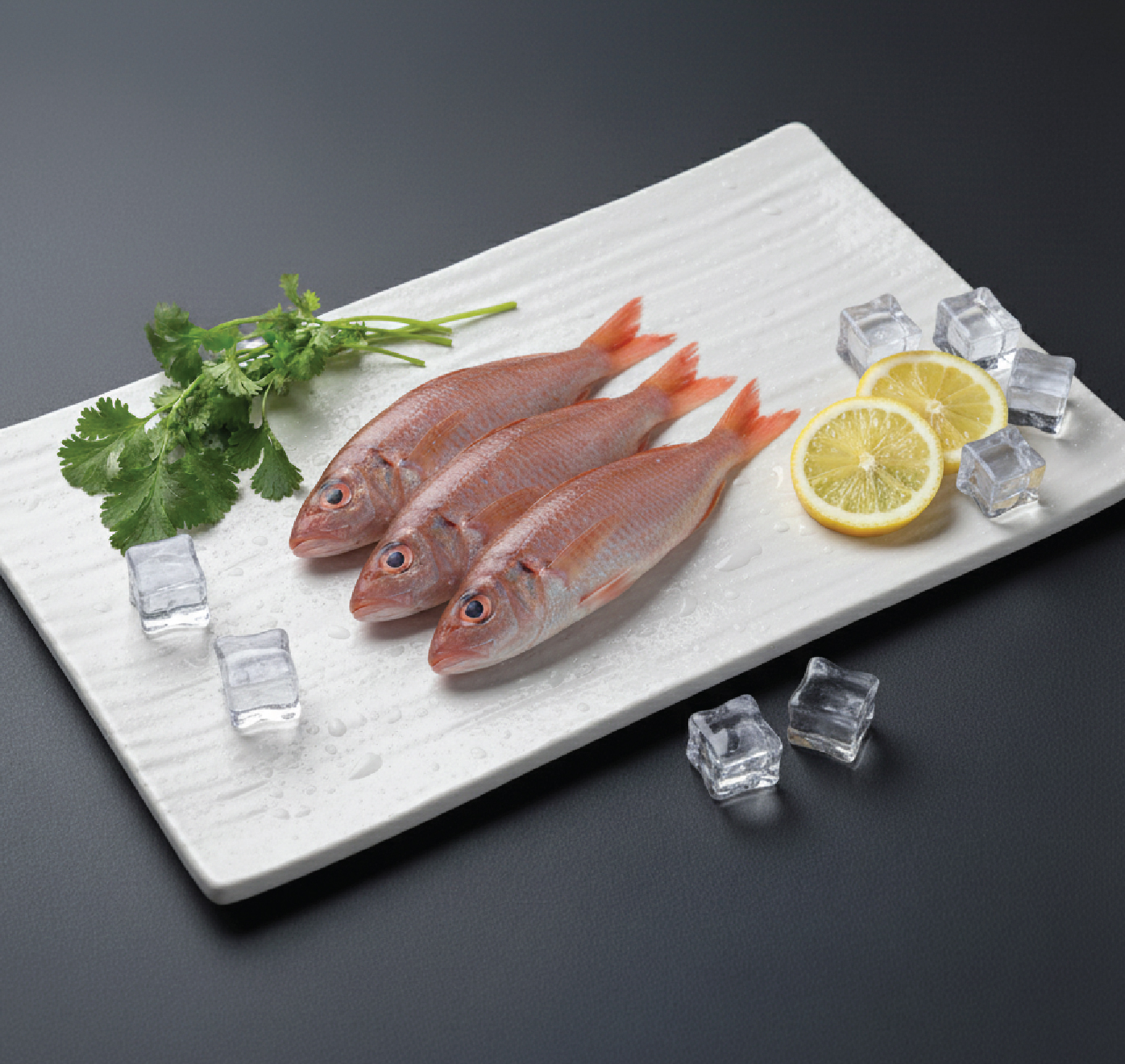 pink perch | ரோமியோ நகரை pink perch | ரோமியோ நகரை