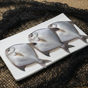 Home silver pomfret | வெள்ளை வாவல்