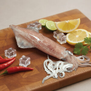squid | கனவா