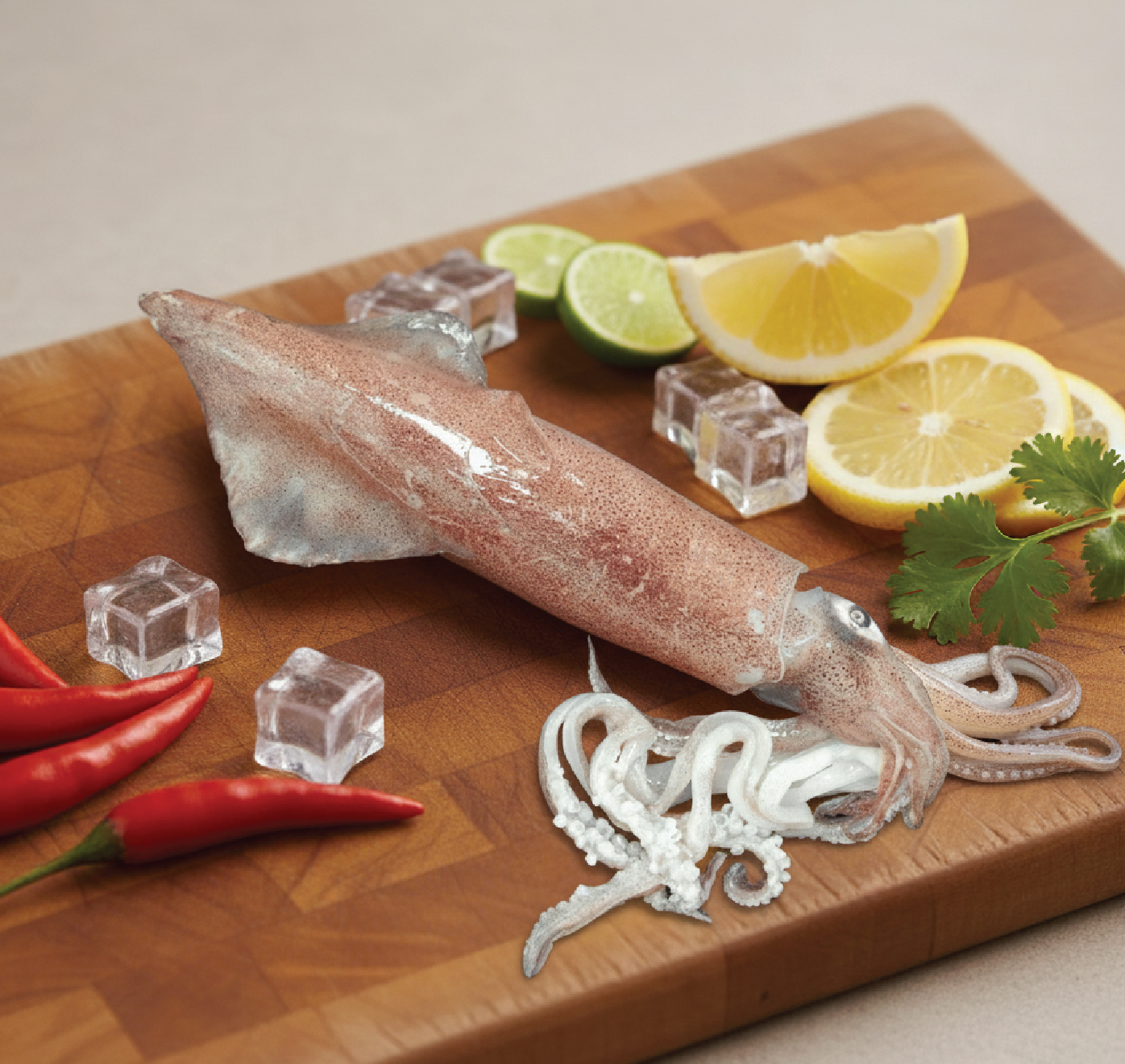 squid | கனவா squid | கனவா