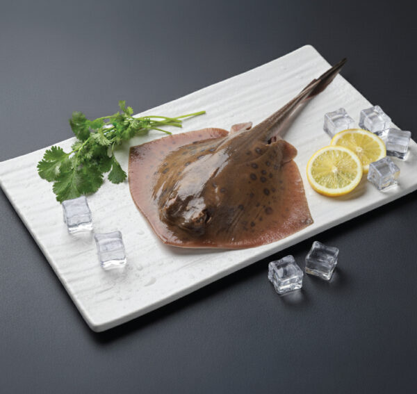 stingray | திருக்கை