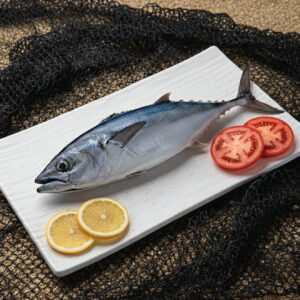 tuna | சூரை மீன்