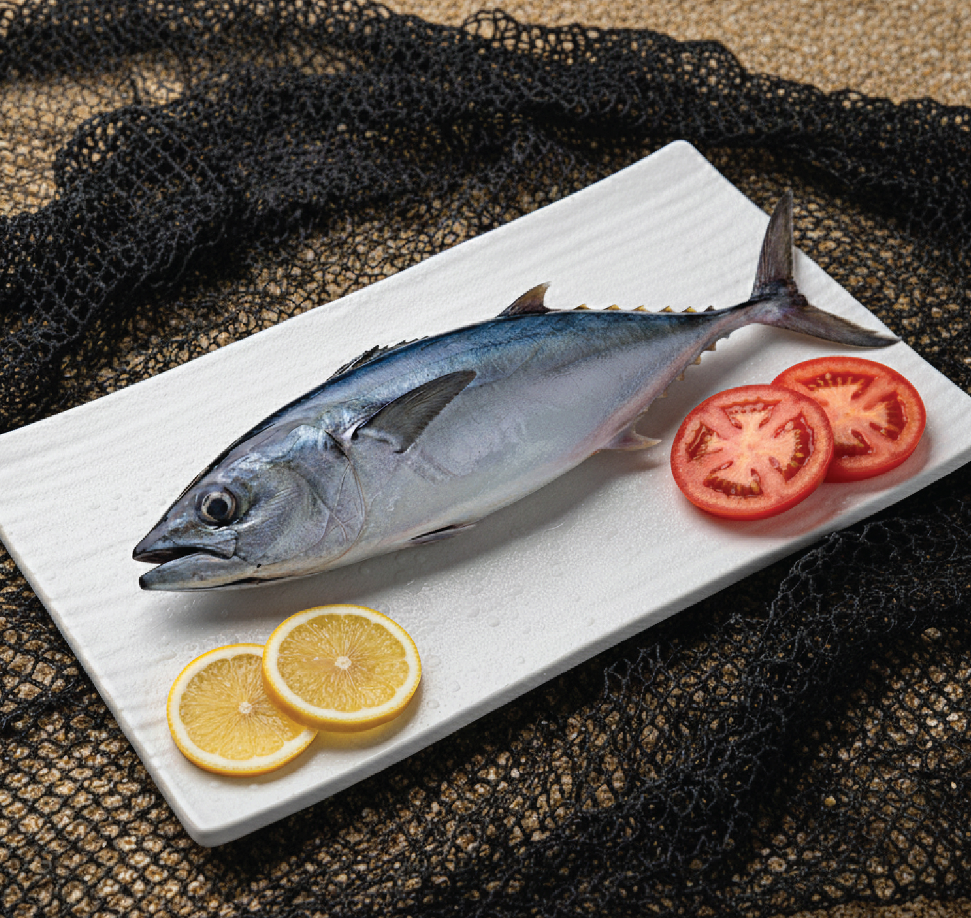 tuna | சூரை மீன் tuna | சூரை மீன்