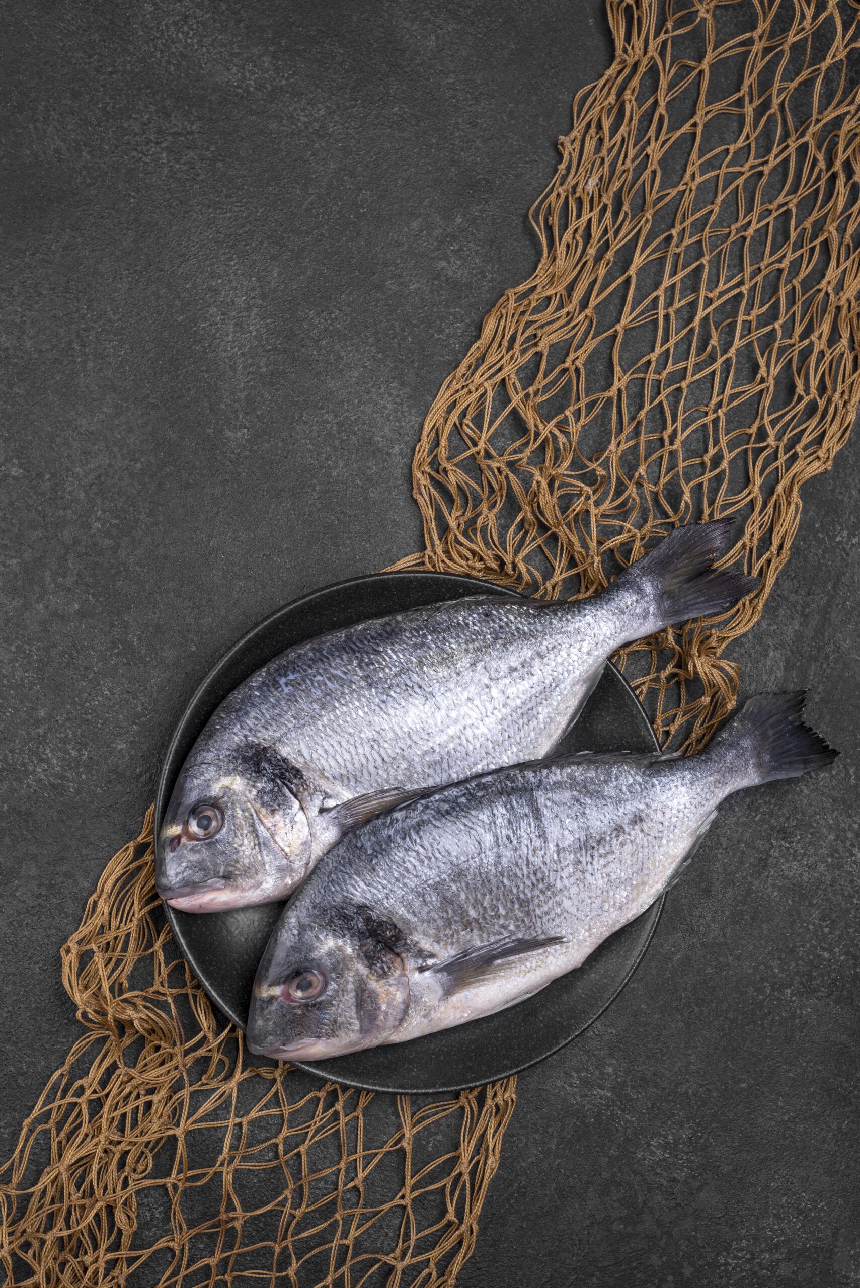 About top view fish plate fish net